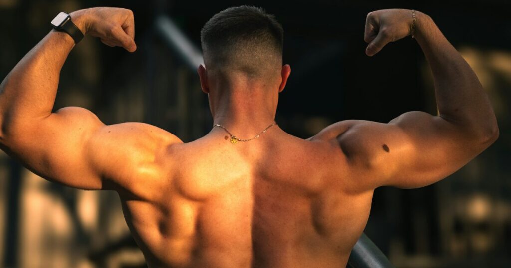 ダブルバイセップスポーズで背筋を見せる筋肉質な男性